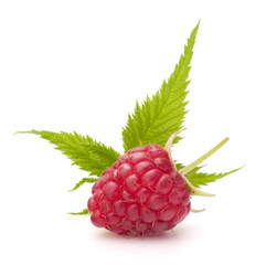 Sweet raspberry isolated on white background cutout