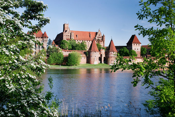 Fototapeta na wymiar Zamek krzyżacki w Malborku
