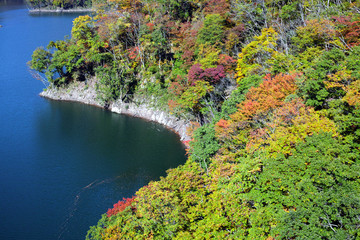 長井　百秋湖の紅葉