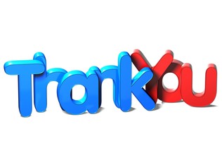 3D Word Thank You on white background