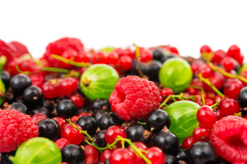 ripe berries