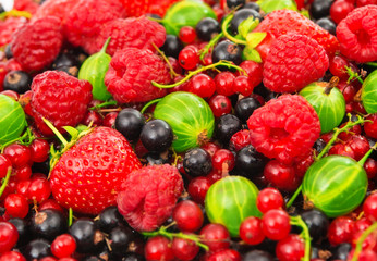 ripe berries