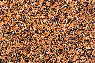 Coarse Grained Texture, background