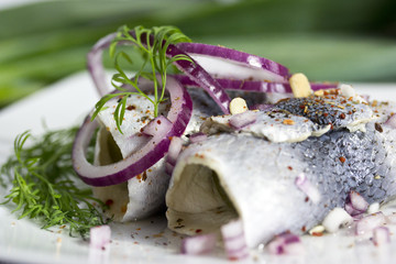 Rollmops