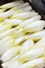 fresh cleaned endives ready to pack