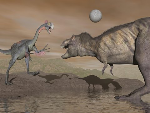 Gigantoraptor and tyrannosaurus - 3D render