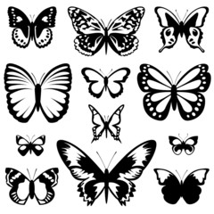 Fototapeta na wymiar Schmetterlinge Vektor Set