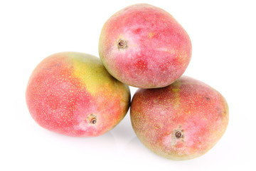 Mango fruits on a white background