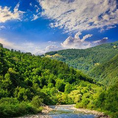 Fototapeta na wymiar wild mountain river on a clear summer day