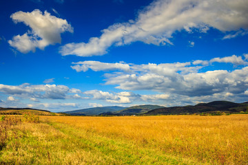 Obraz premium wheat field near the mountain village