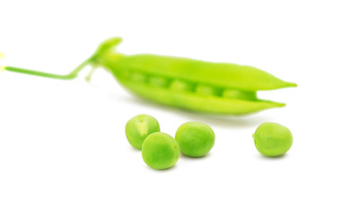green pea pod