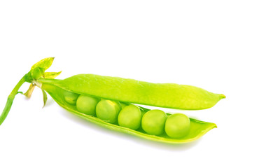 green pea pod