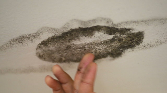 hand with mold of water damaged ceiling