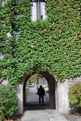 vine covered archway
