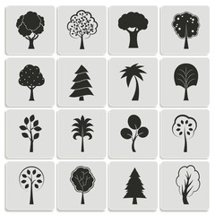 Green forest trees design elements