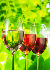 Red and white wine