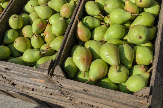 Pears in an old fruit crate