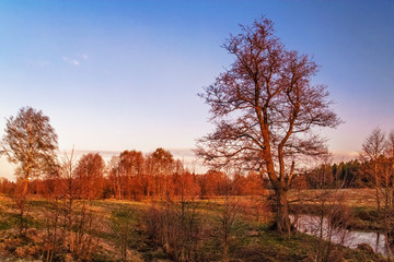 Summer sunset around field and river
