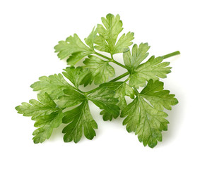Parsley spice