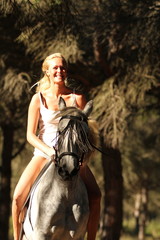 Galopp im Pinienwald