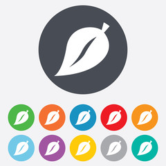 Leaf sign icon. Fresh product symbol.