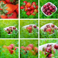 collage of cherries and strawberry on green grass