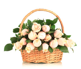 Beautiful bouquet of roses in basket, isolated on white