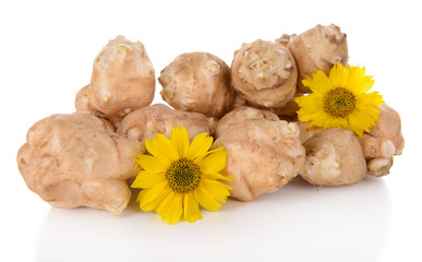 Topinambur roots isolated on white