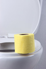 Toilet paper on a toilet, close-up