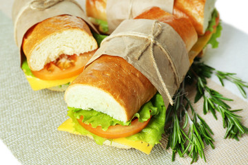 Fresh and tasty sandwich close up