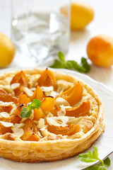 Apricot and Almond Tart