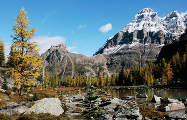 Fototapeta na wymiar Mount Huber and Opabin Plateau, Yoho National Park, Canada