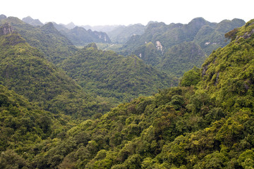 Naklejka premium Panorama of Cat Ba National Park in Vietnam
