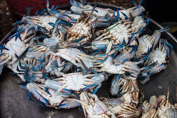 Crabs for sale at fresh food market in Samut Sakhon,Thailand.
