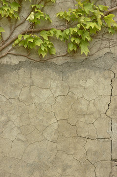 Old Italian Cracked Wall