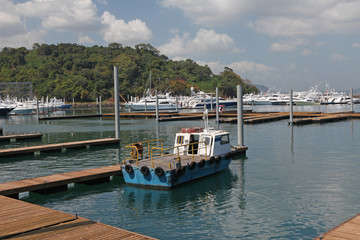 marina boats