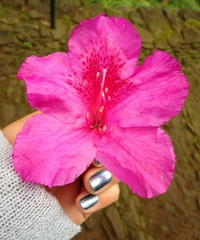 Pink © Inga