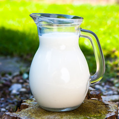 Milk jug