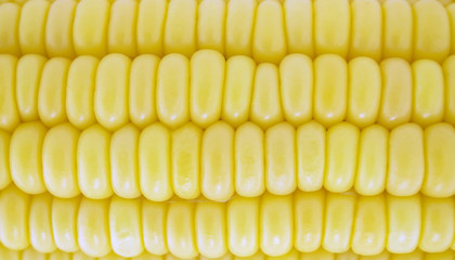 Corn