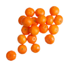 Mandarins on white