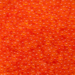 Closeup image of fresh salmon roe caviar - 60739415