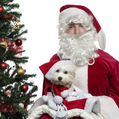 Close-up of Santa Claus holding a lapdog, isolated on white