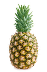 Fototapeta premium pineapple