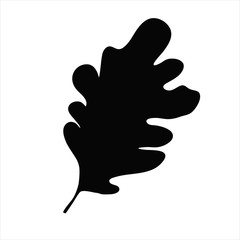 Obraz premium Oak leaf silhouette isolated on white