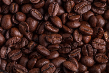 Obraz premium roasted coffee beans