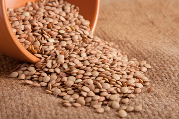 Grain lentils