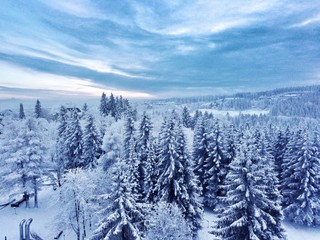 Obraz premium thüringer wald