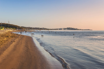 Costa del Gargano: alba con gabbiani.-Vieste (Puglia) ITALIA-