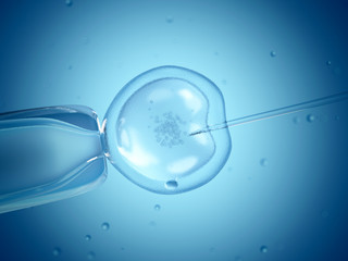 Close up of in vitro fertilisation (IVF).