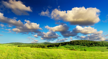 Fototapeta na wymiar Field and cloudy sky. Natural summer landscape